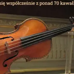 Z jakiego drewna robi się skrzypce i dlaczego ma to kluczowe znaczenie?