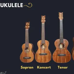 Na co komu dziś ukulele? Zastosowania, korzyści i wskazówki dla początkujących