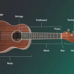 Ile trwa nauka gry na ukulele: zdobądź umiejętności szybciej niż myślisz