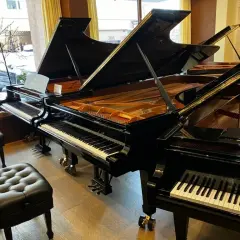 Ile kosztuje fortepian Steinway & Sons? Ceny, które zaskoczą każdego