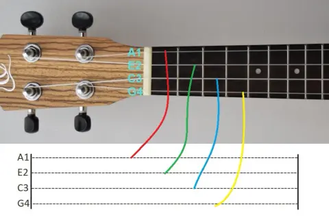 Jakie są struny w ukulele? Dowiedz się, które wybrać dla najlepszego brzmienia