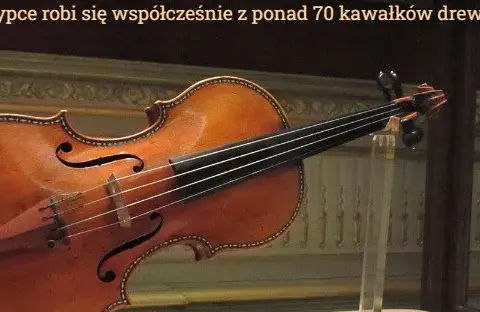 Z jakiego drewna robi się skrzypce i dlaczego ma to kluczowe znaczenie?