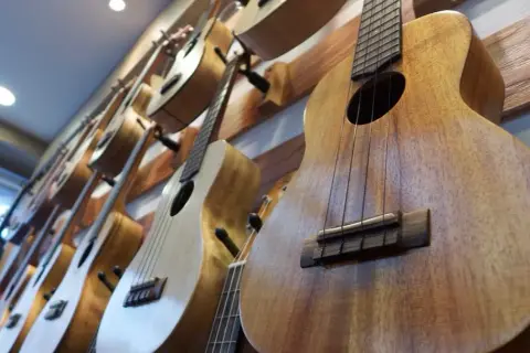Ukulele jakie drewno wybrać, aby uzyskać najlepsze brzmienie?